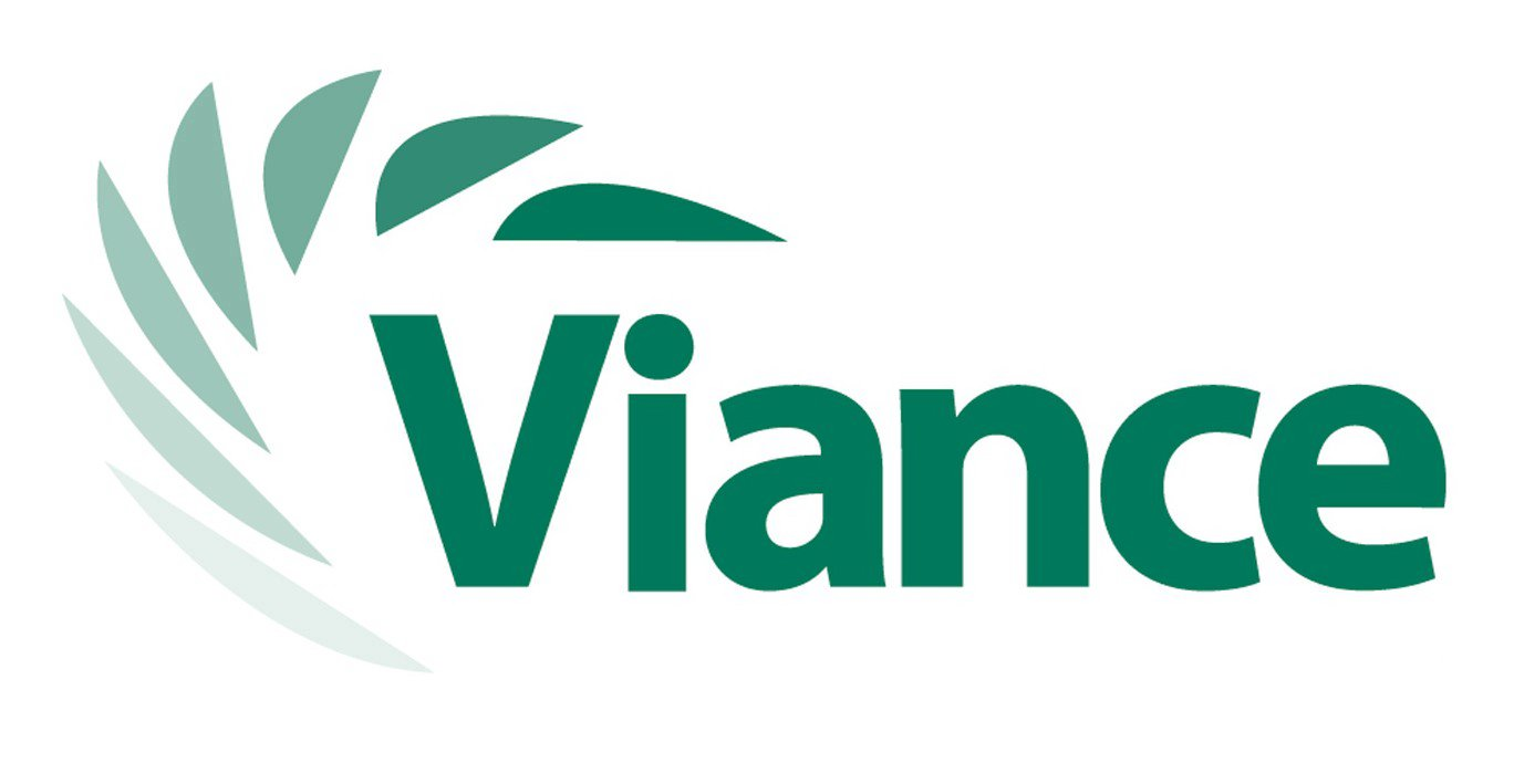Trademark Logo VIANCE