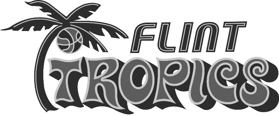 Trademark Logo FLINT TROPICS