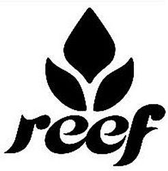 REEF