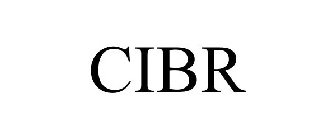  CIBR