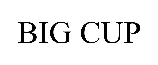 Trademark Logo BIG CUP