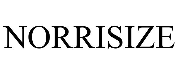 Trademark Logo NORRISIZE