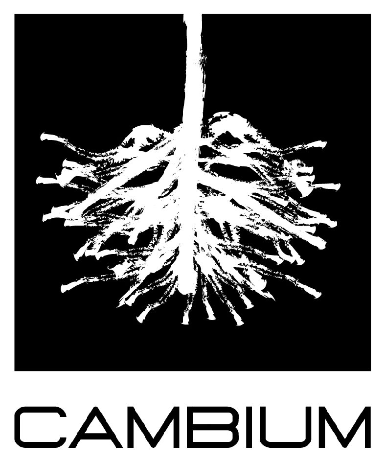 Trademark Logo CAMBIUM