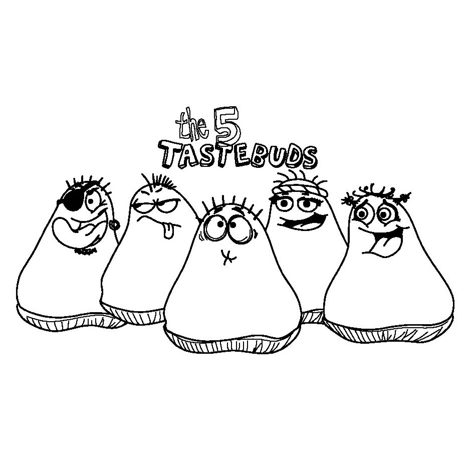  THE 5 TASTEBUDS