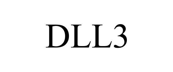  DLL3