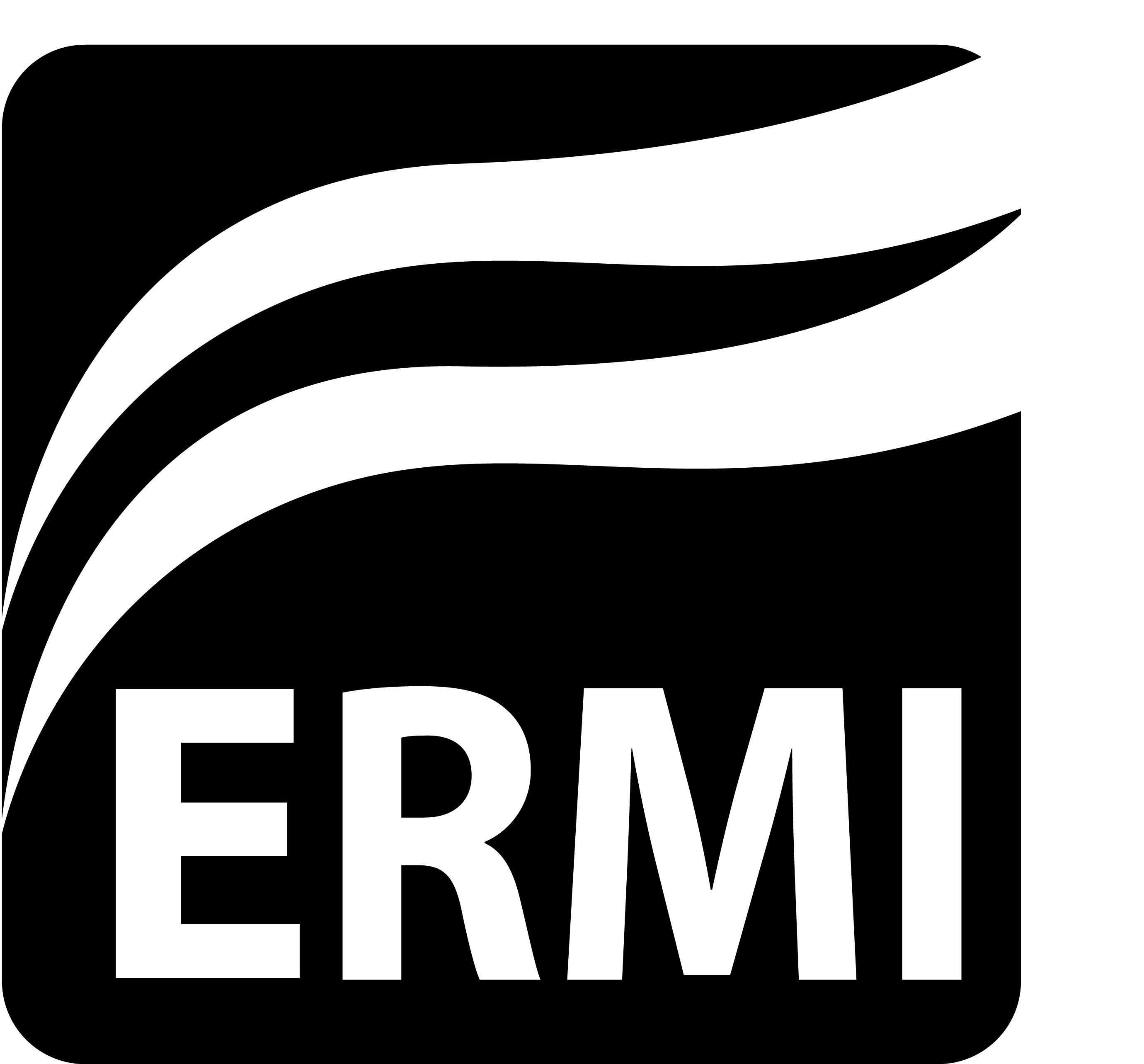 Trademark Logo ERMI