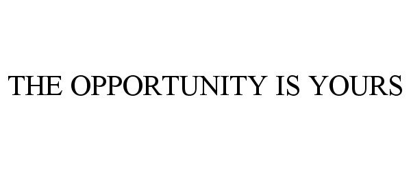  THE OPPORTUNITY IS YOURS