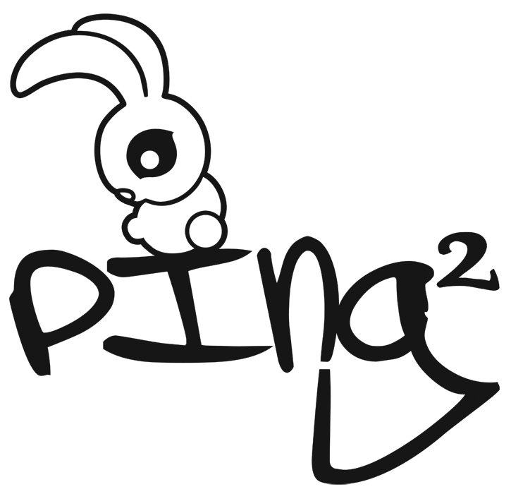  PINGÂ²