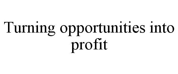  TURNING OPPORTUNITIES INTO PROFIT