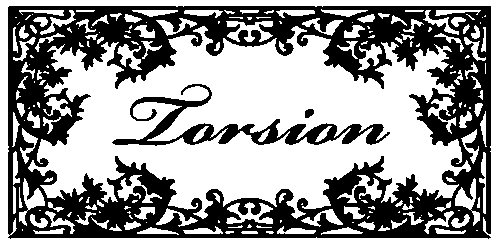 TORSION