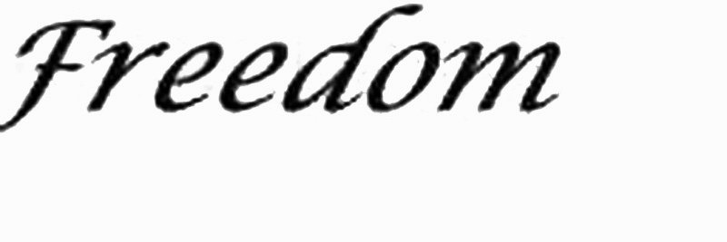 Trademark Logo FREEDOM