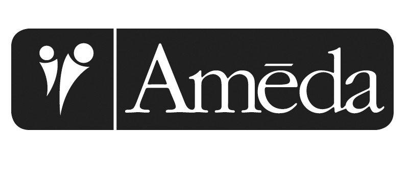Trademark Logo AMEDA