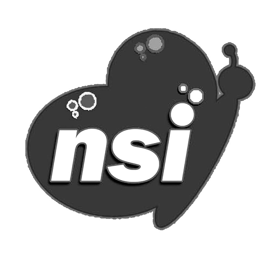  NSI