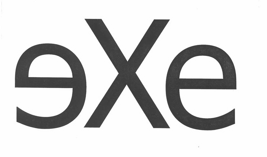 EXE