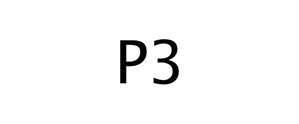 Trademark Logo P3