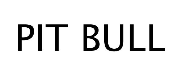 Trademark Logo PIT BULL