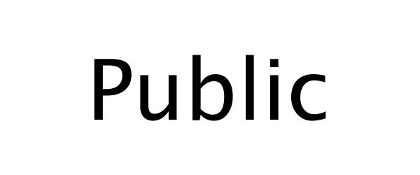 Trademark Logo PUBLIC