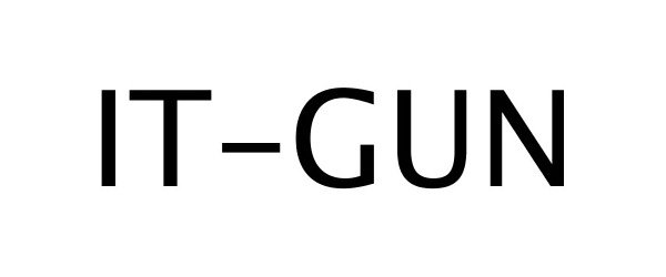  IT-GUN