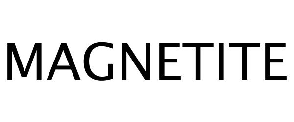 Trademark Logo MAGNETITE