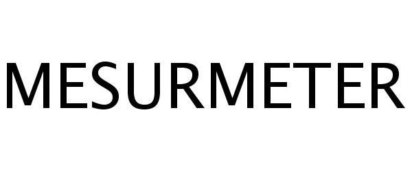 Trademark Logo MESURMETER