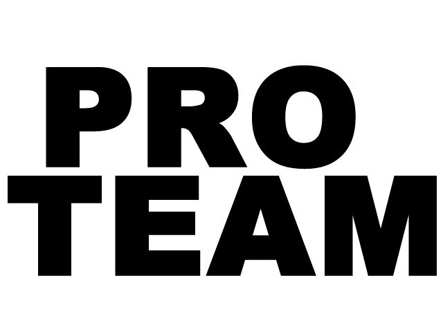 Trademark Logo PRO TEAM