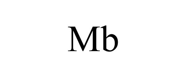  MB