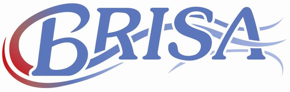 Trademark Logo BRISA