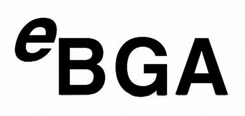  EBGA