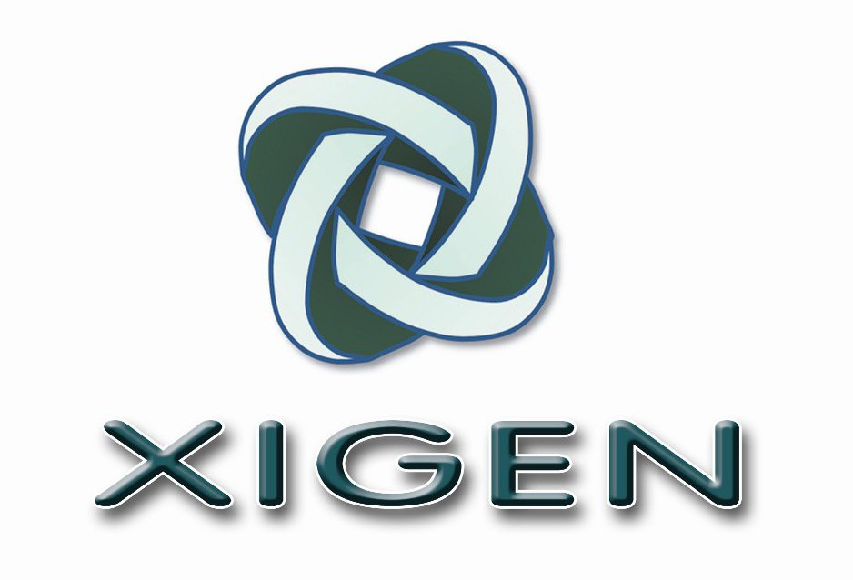  XIGEN