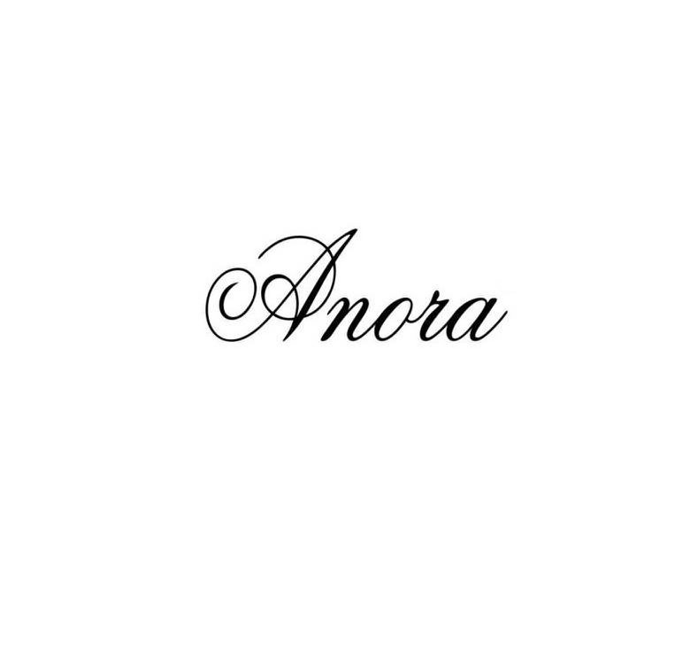 Trademark Logo ANORA