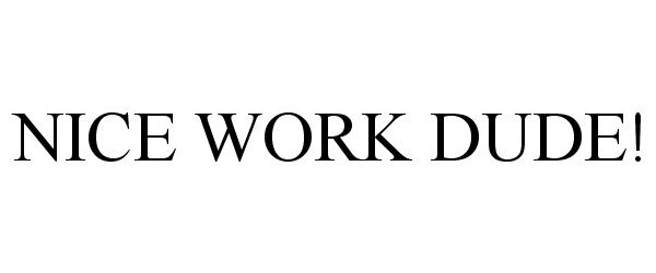 Trademark Logo NICE WORK DUDE!