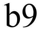 Trademark Logo B9