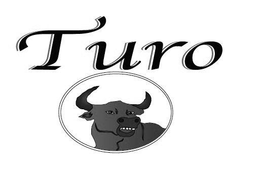 Trademark Logo TURO