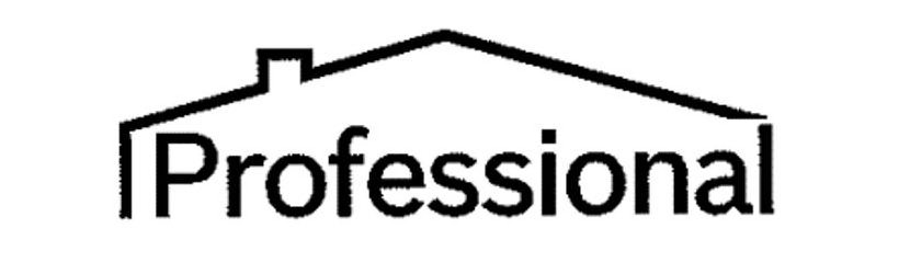 Trademark Logo PROFESSIONAL