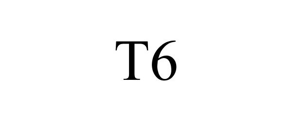  T6