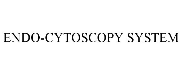 ENDO-CYTOSCOPY SYSTEM