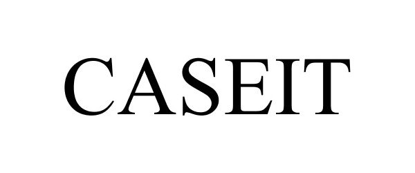 Trademark Logo CASEIT
