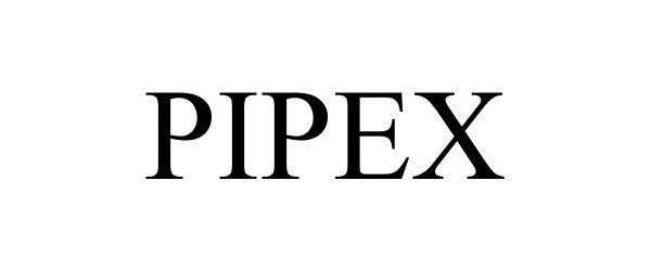  PIPEX