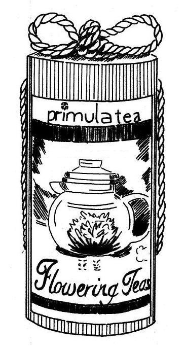 Trademark Logo PRIMULA TEA FLOWERING TEAS
