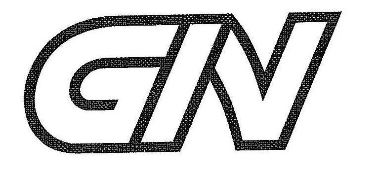 Trademark Logo GIN