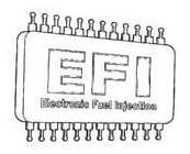  EFI ELECTRONIC FUEL INJECTION