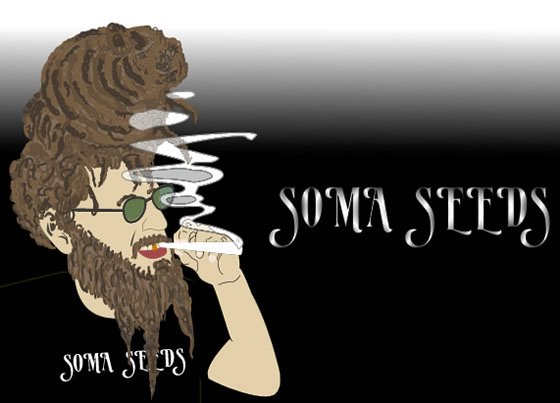  SOMA SEEDS SOMA SEEDS