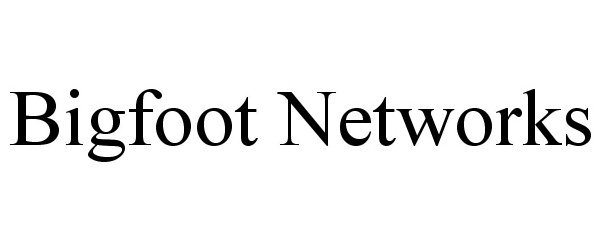  BIGFOOT NETWORKS