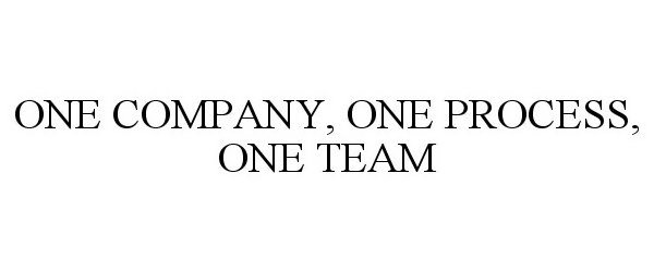  ONE COMPANY, ONE PROCESS, ONE TEAM