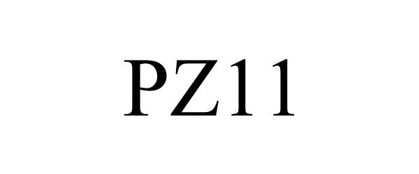  PZ11