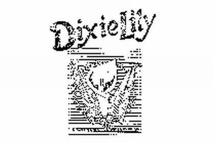  DIXIELILY