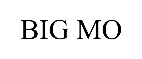 Trademark Logo BIG MO