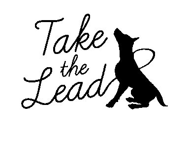 TAKE THE LEAD