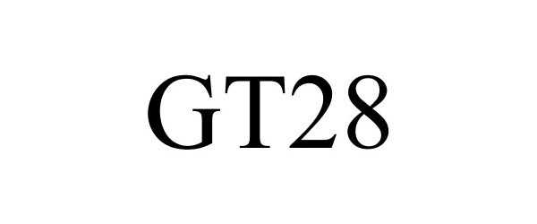  GT28