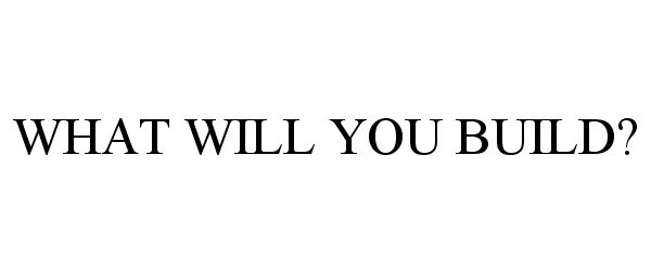  WHAT WILL YOU BUILD?